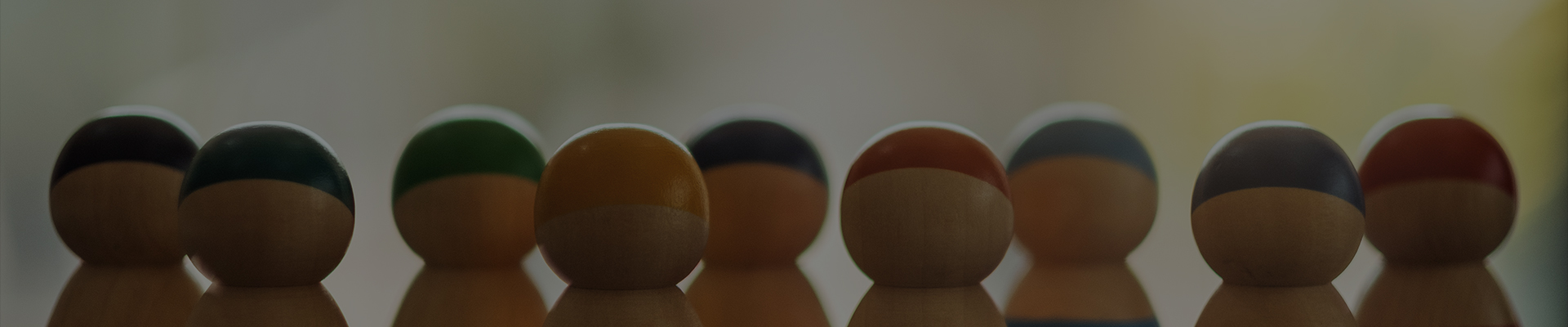 Shanghai Dengsheng Instrumen Manufacturing Co, Ltd.