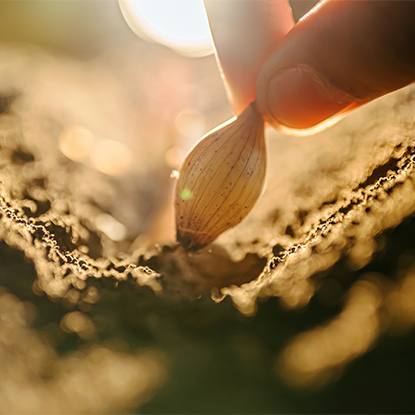 Pertanian dan Kehutanan